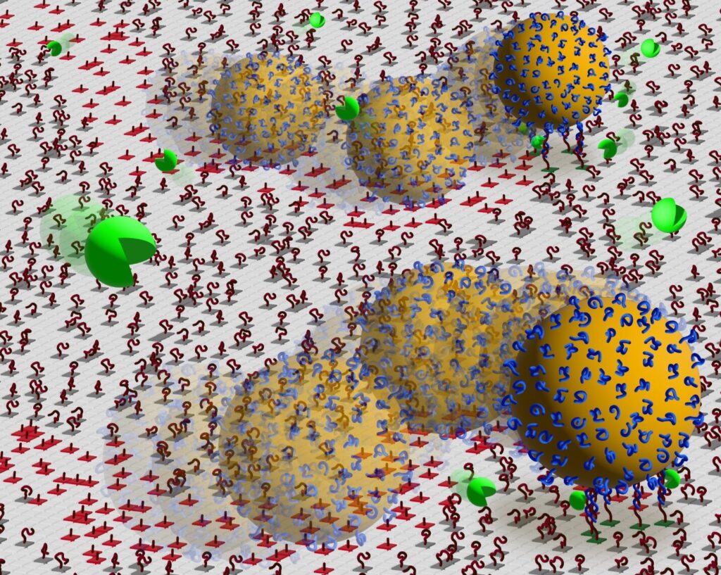 Proposed solution could bring DNA-nanoparticles motors up to speed with motor proteins