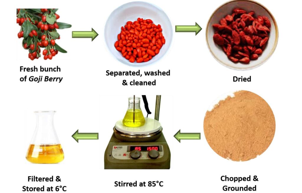 Goji berries yield antibacterial silver nanoparticles