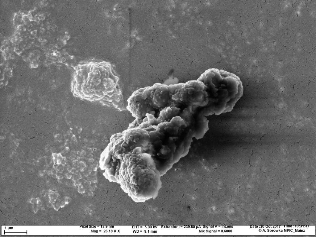 From soot particle filters to renewable fuels: Examining carbon nanoparticle oxidation