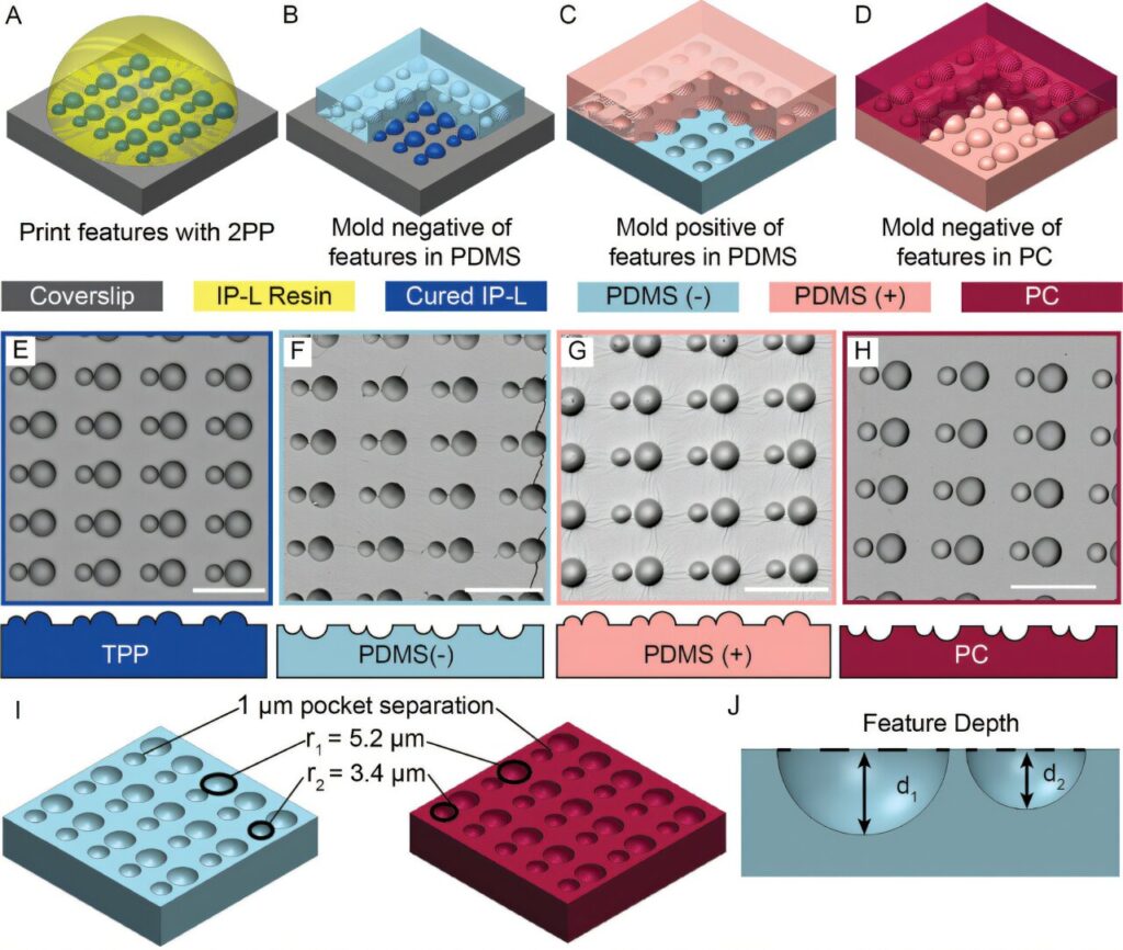 Micro, modular, mobile—DNA-linked microrobots offer new possibilities in medicine and manufacturing