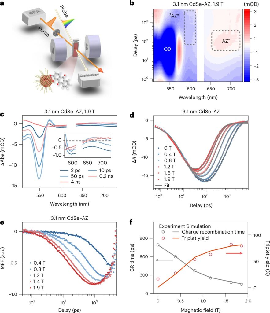 Quantum dots enhance spin chemistry in radical pairs