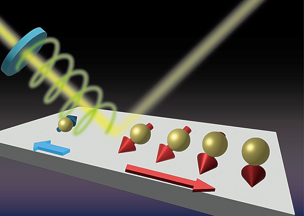 Single-atom metal layer reveals unexpected spin-polarized current control with light