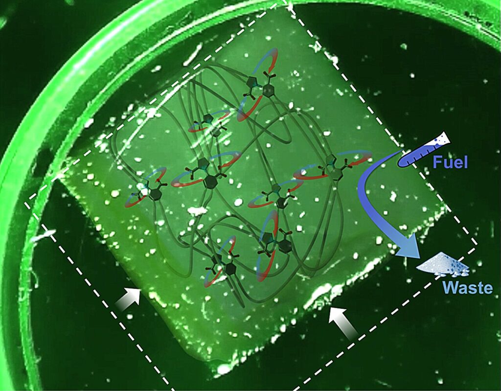 Artificial motors mimic muscle proteins, opening new paths in nanotech