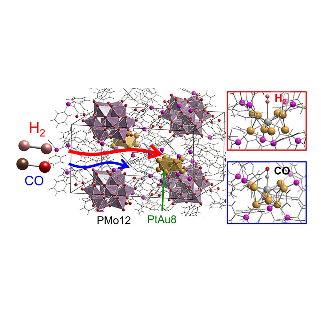 Nanotunnel dimensions in platinum-gold structures dictate gas adsorption dynamics