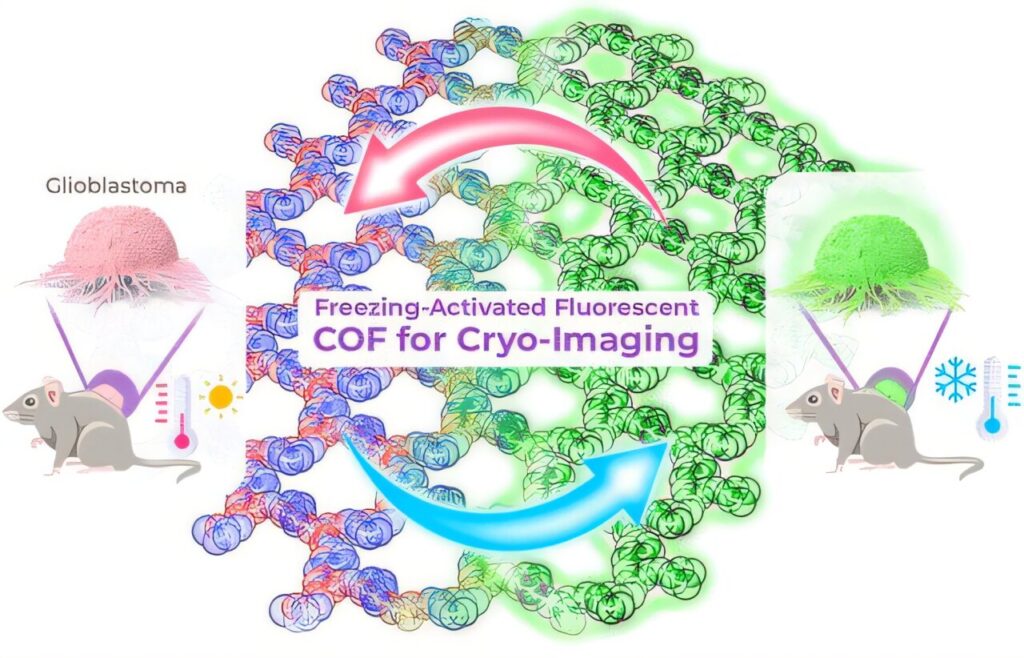 Nanoscale material illuminates cancer cells in freezing conditions for precise cryosurgery