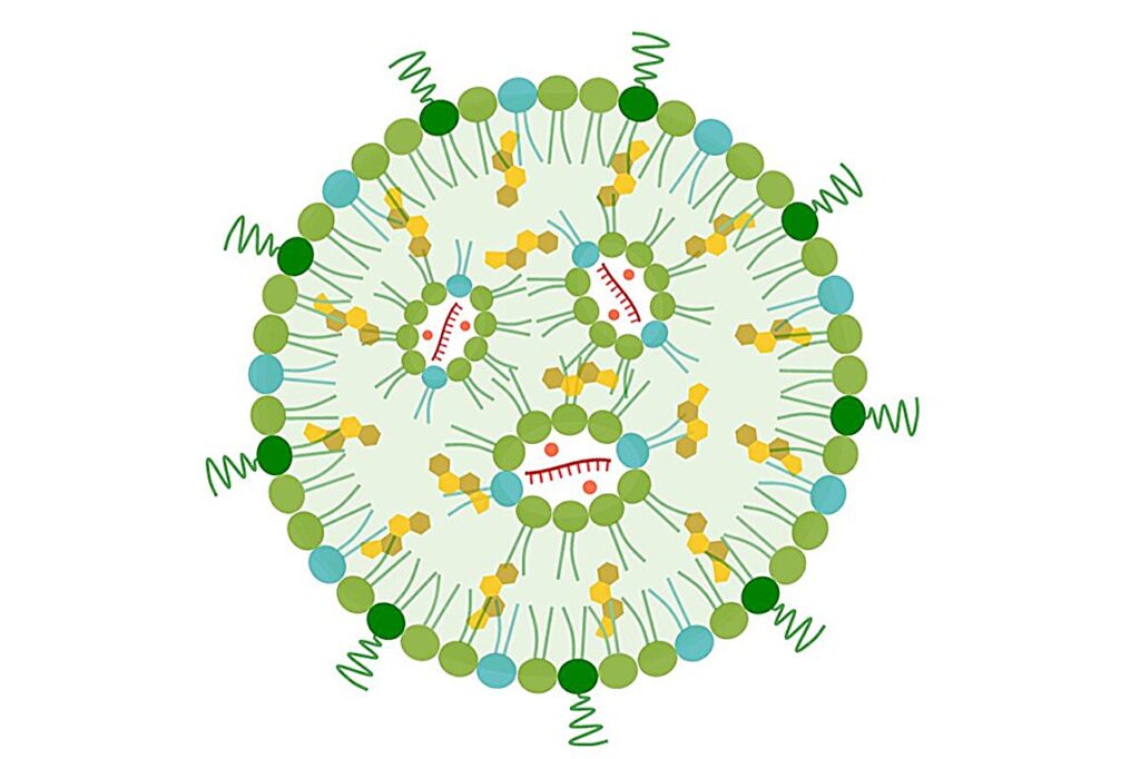 Nanoparticle immune therapy shows potential to halt pancreatic cancer spread