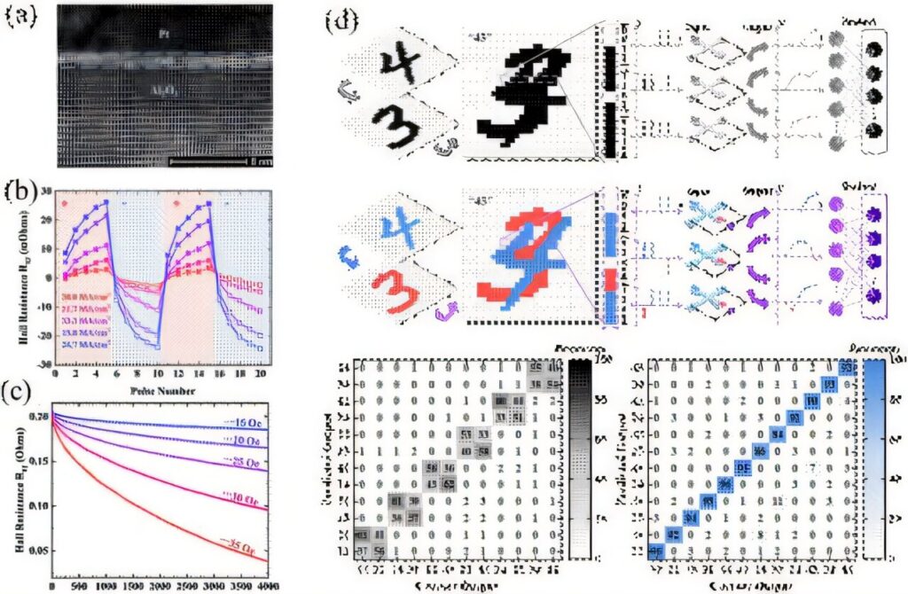 New spintronic device achieves brain-like memory and processing