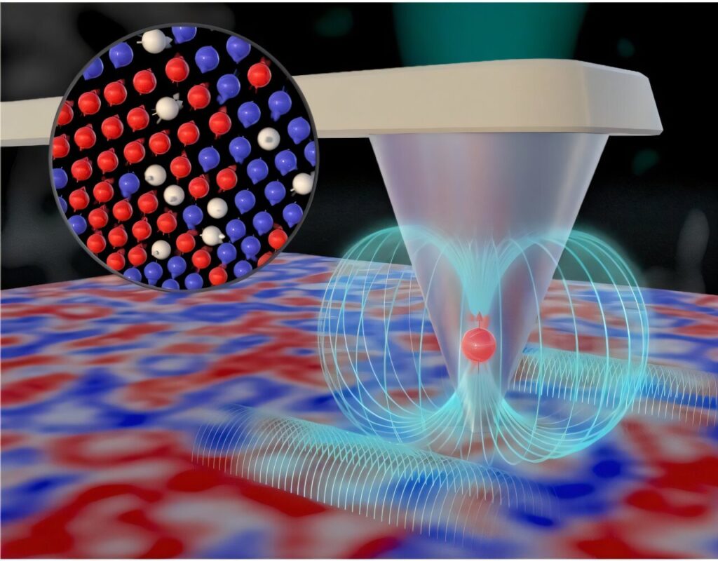 Single-qubit sensing puts new spin on quantum materials discovery