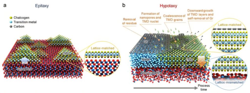 New synthesis technology for single-crystal 2D semiconductors could spawn next-generation devices