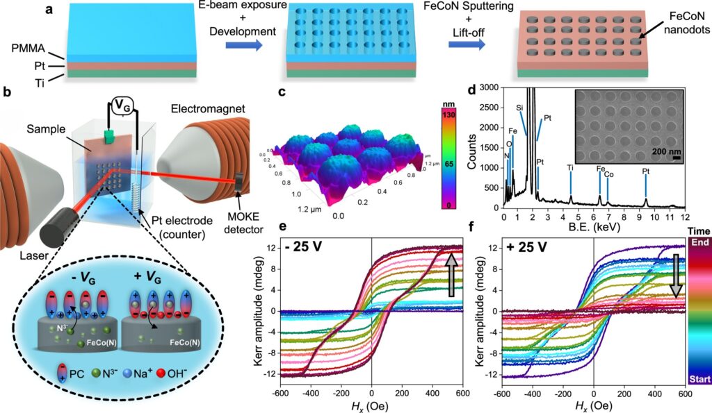 Vortion, a new magnetic state able to mimic neuronal synapses