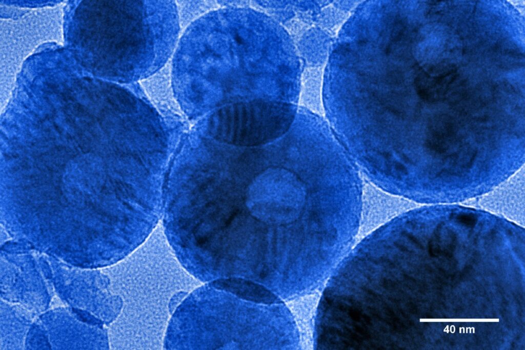 How AI is Automating Scanning Probe Microscopy