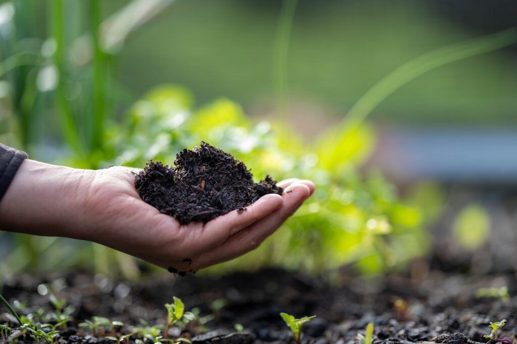 A Solution for Soil and Crop Improvement