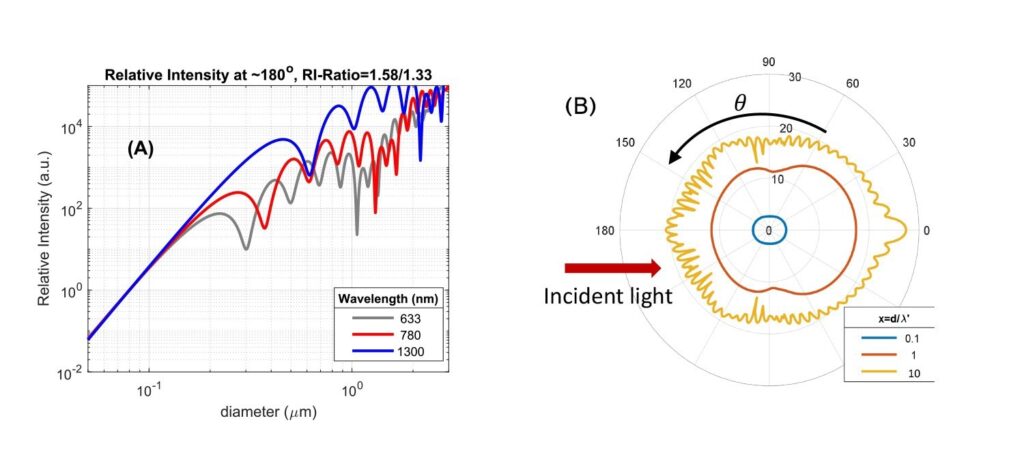 Different DLS-Based Systems Can Give Us Different Size Results