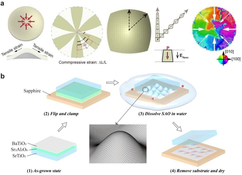 A recently realized ferroelectric topology in nanomembranes enables light field manipulation