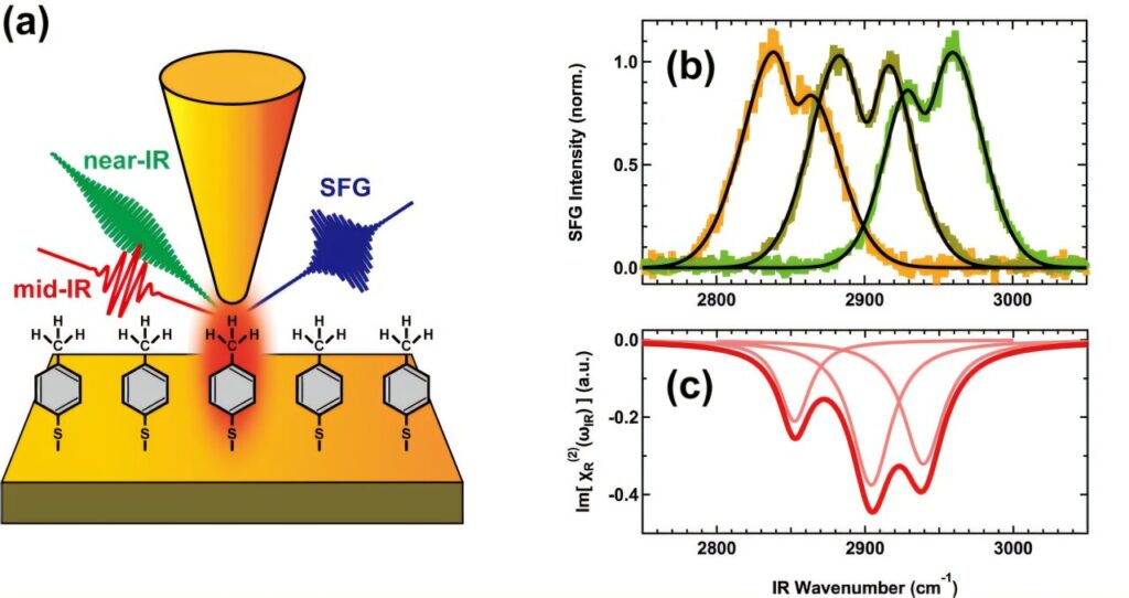 Nanoscale spectroscopy detects vibrational signals from molecules in confined gaps