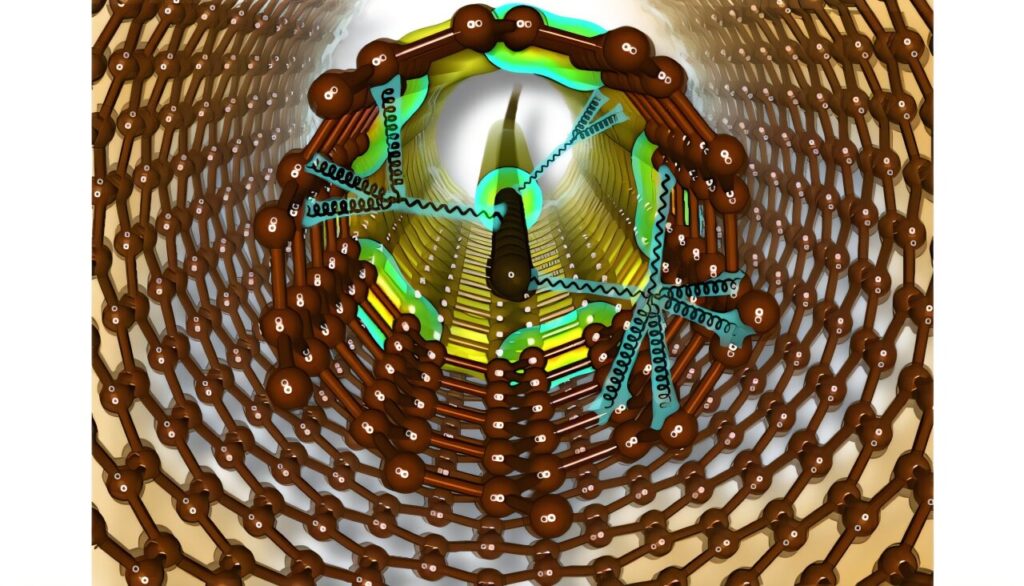 New insights show universal applicability of carbyne as a sensor