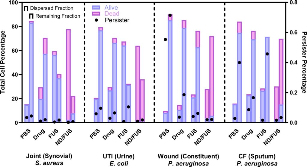 Ultrasound-activated nanoparticles wipe out biofilm infections in lab tests