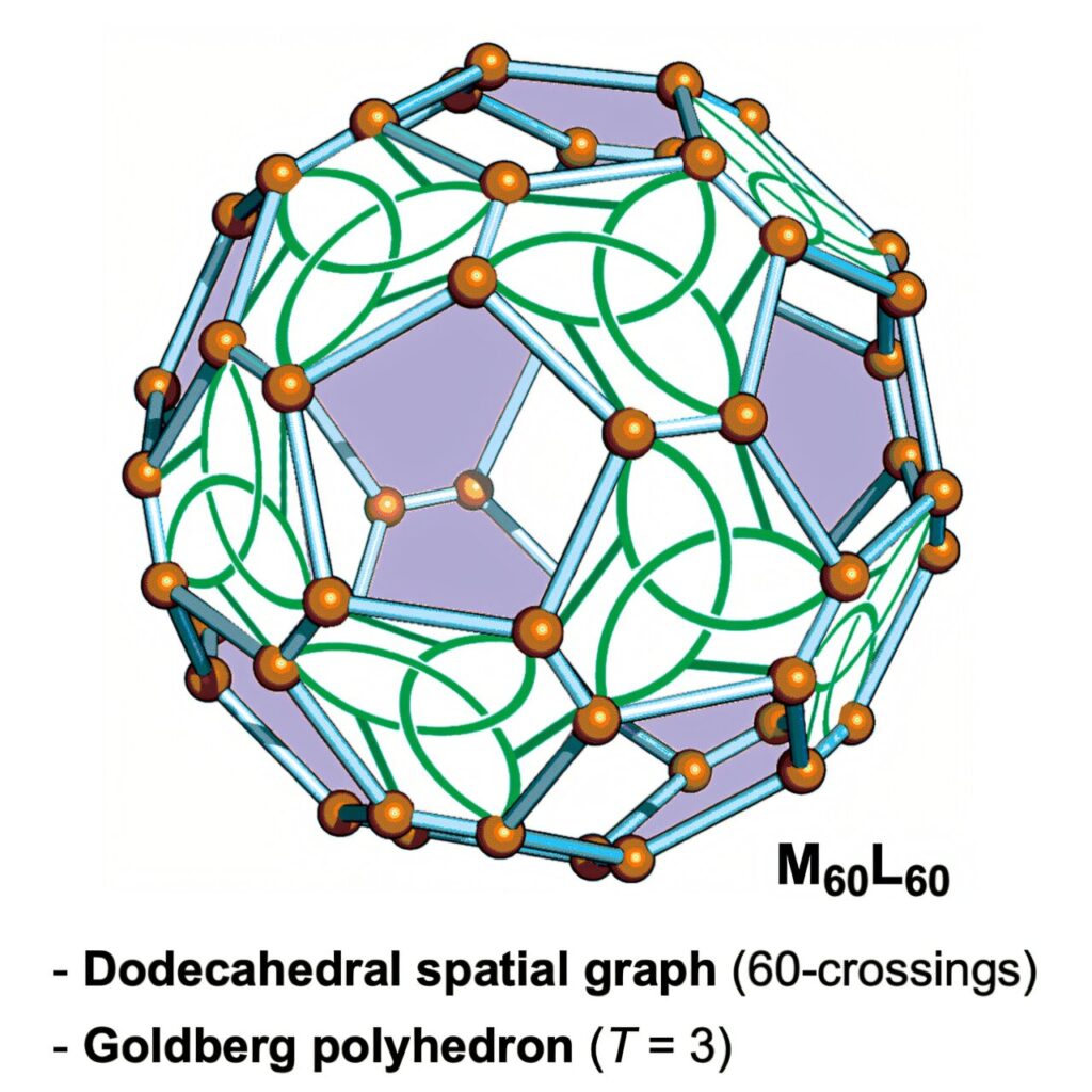 Self-assembled dodecahedral nanostructure features 60 metal ions and peptide ligands