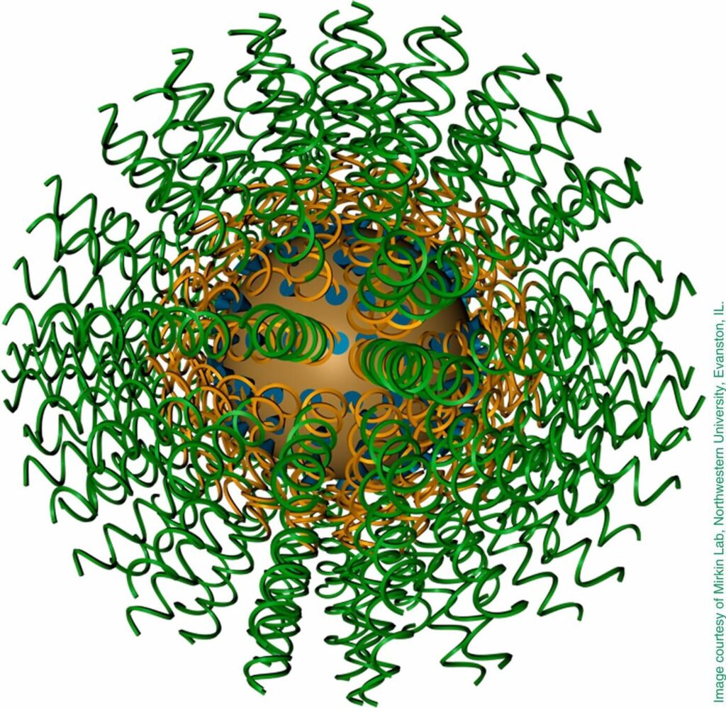 Structure dictates effectiveness and safety in nanomedicine, driving therapeutic innovation, say scientists