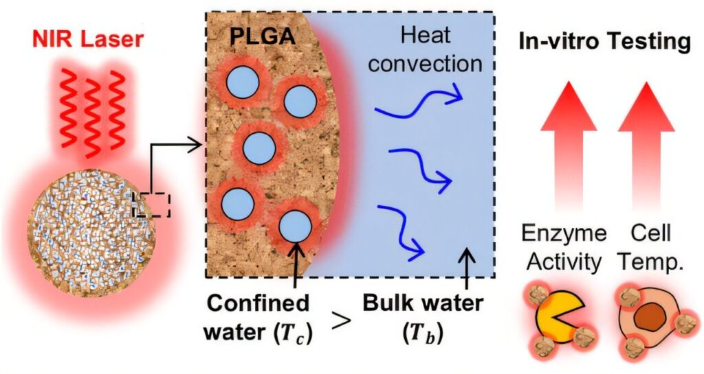 Tiny ‘heat bombs’ made from biodegradable polymers could precisely target and treat diseased cells