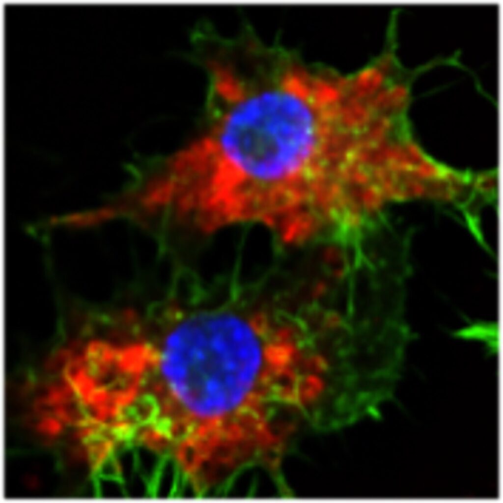 new-nanomedicine-wipes