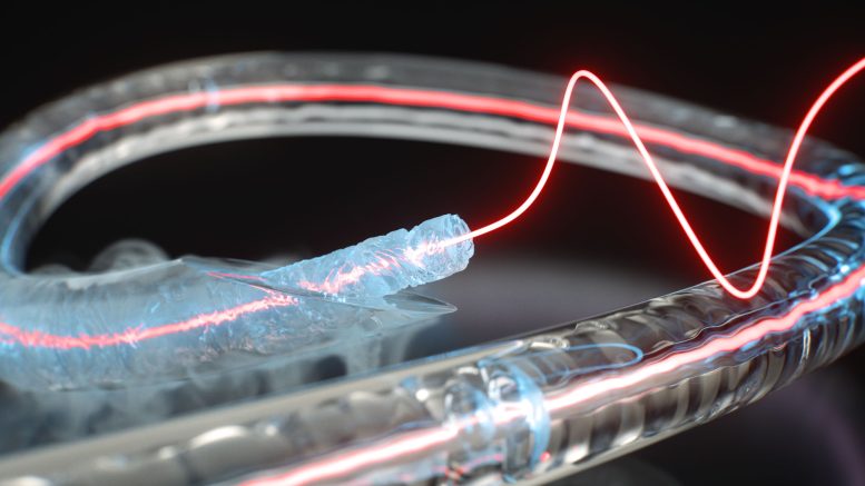 A Fiber Frozen at -196°C Unlocks a New Way To Store Light